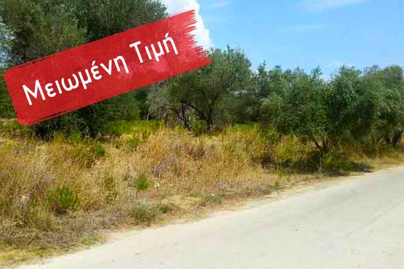 Reduced-Price-gr-2008