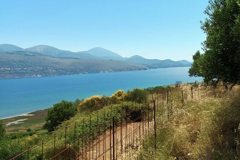 Fenced parcel in Paliki - property id 2338