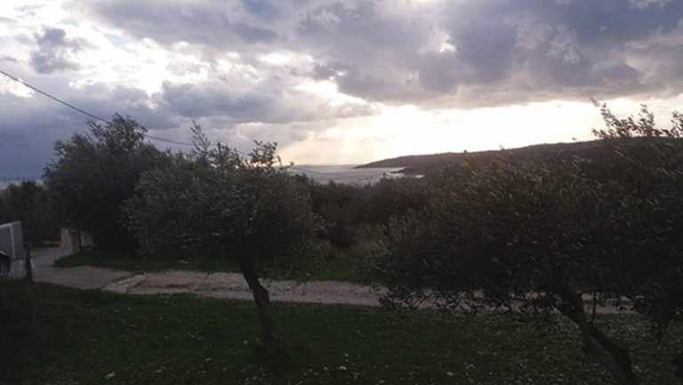 oikopedo-2547-me thea sti thalassa