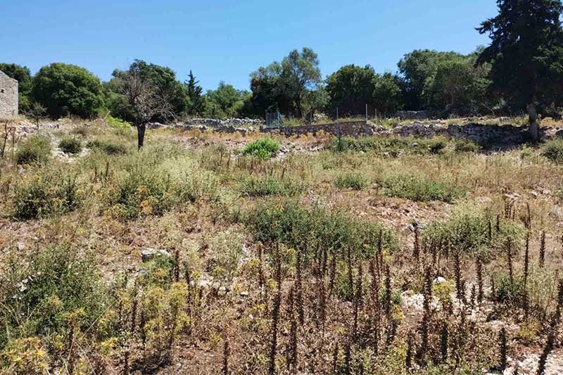 plot-sale-markoulata-2773-5