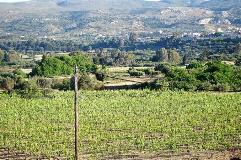 parcel-3256-with utility networks