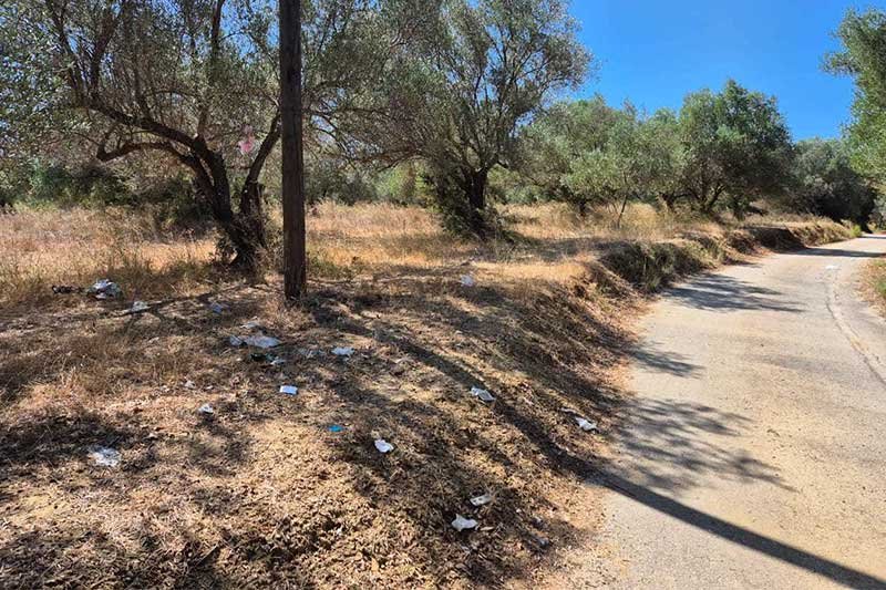 3317-plot-with trees