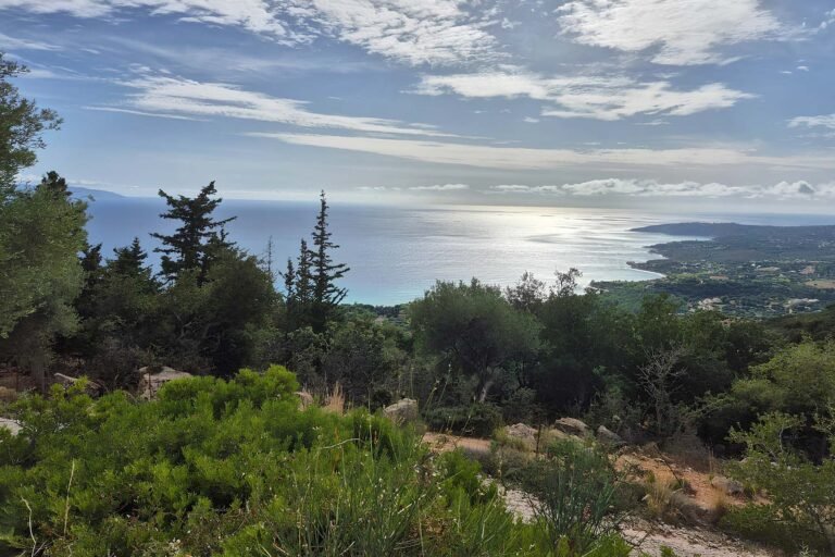 Αγροτεμάχιο με δρόμο στα Βλαχάτα - Κωδ. Ακινήτου 3349