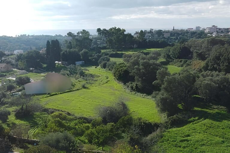 plot-in-Spartia-3414