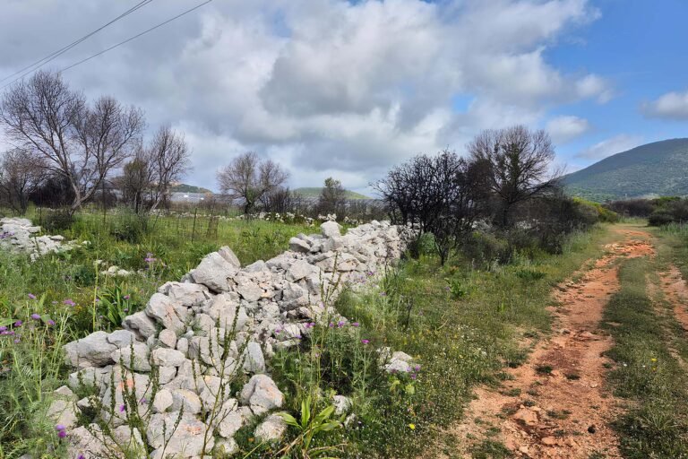 Fenced parcel in Karavados - property id 3392