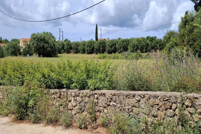 view-of-the-plot-3443