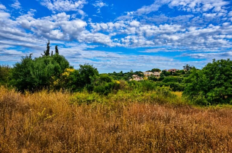 Land in Lakithra- property id 3462