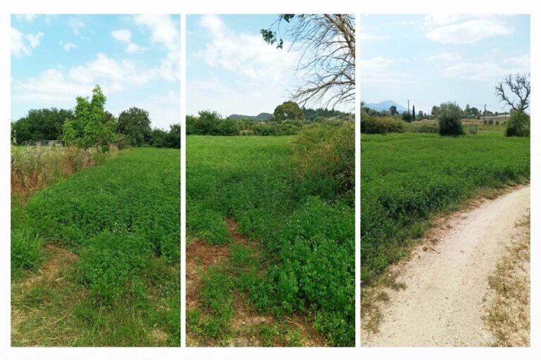 land in lixouri - property id 3482