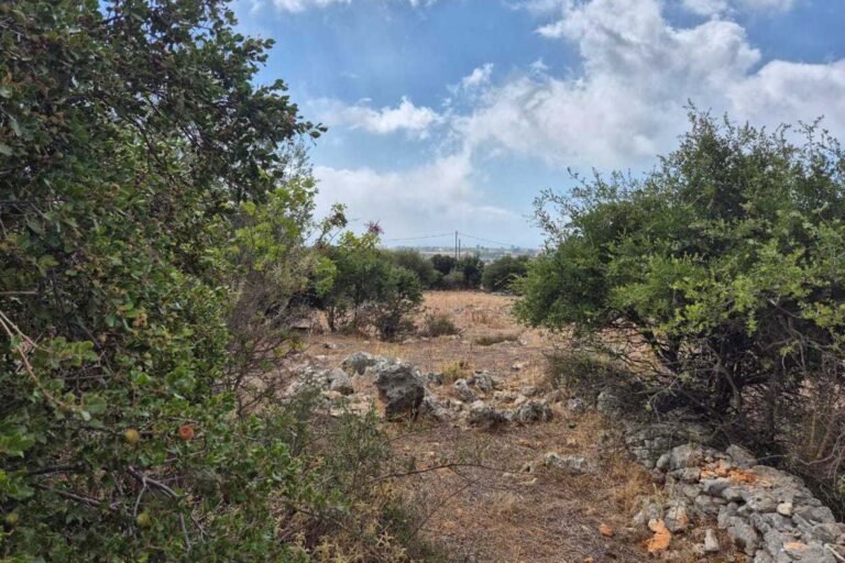 parcel-in-karavados-3498