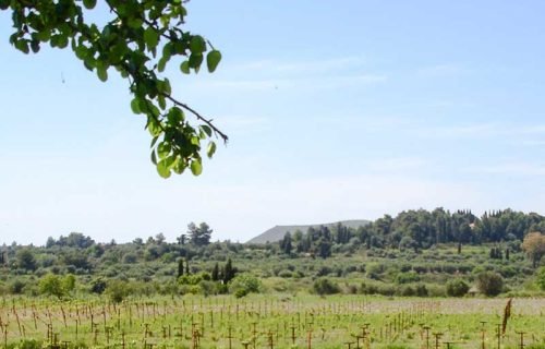 parcel-3256-with road