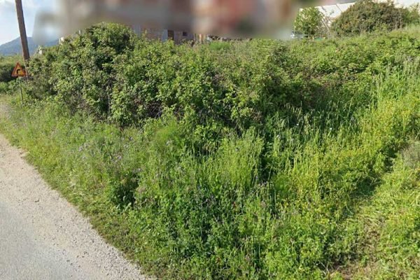 oikopedo-3267-me dromo