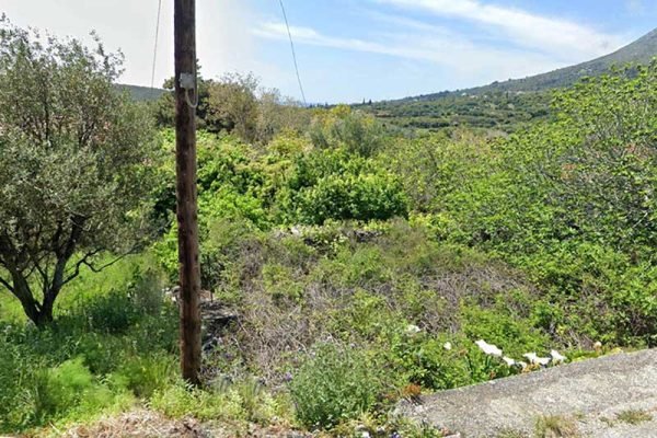 plot-3270-view of the plot