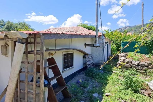 house-3272-near the beach