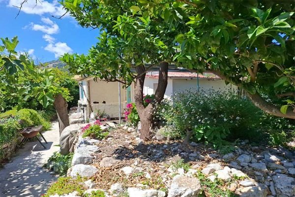 house-3272-side view of the house