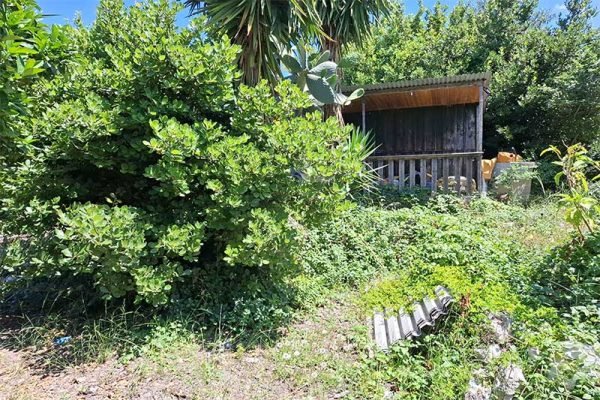 house-3272-with garden