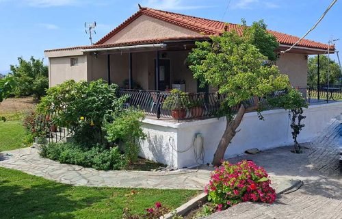 house-3276-view of the house