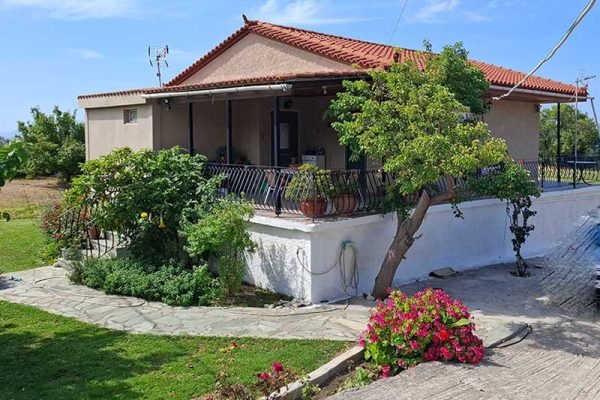 house-3276-view of the house