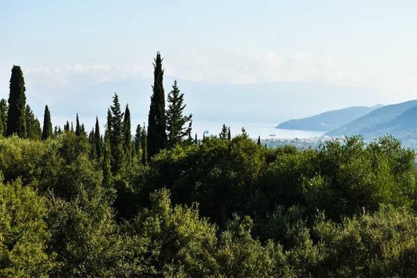 property-3281-in a lush area