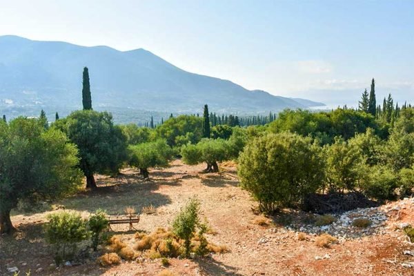 property-3281-with sea views