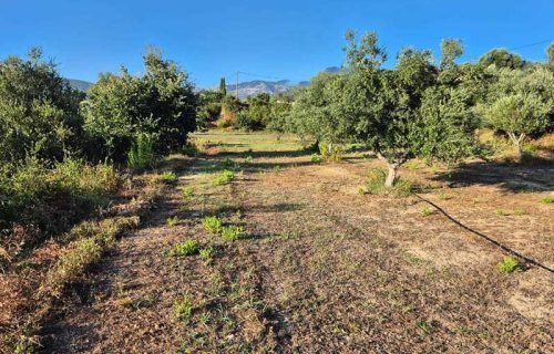 plot-3285-in Leivathos area