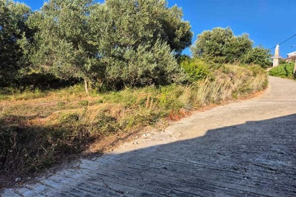 oikopedo-3285-me dromo