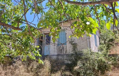 house-3288-with road