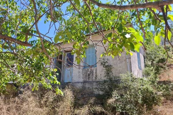 house-3288-with road