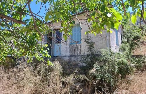 house-3288-in a lush area