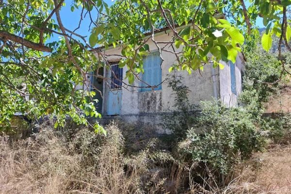 house-3288-in a lush area