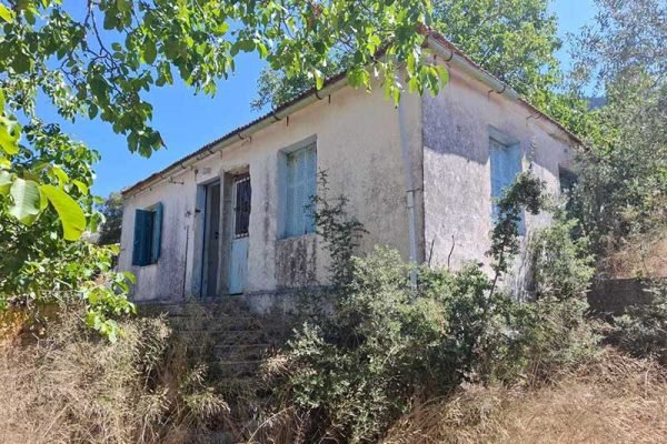 house-3288-view of the house