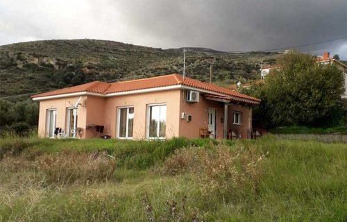 Kateleios-3305-view of the plot