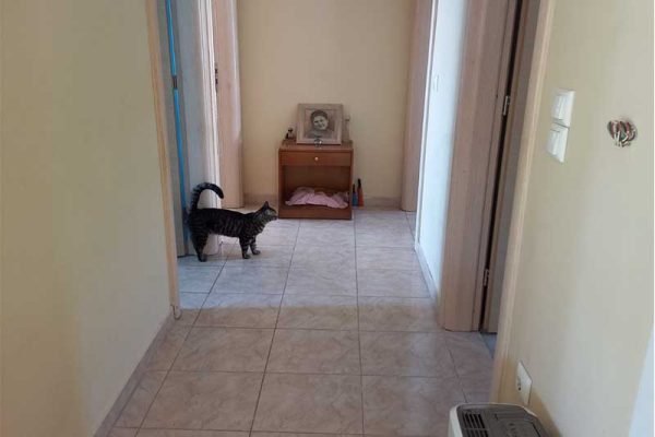 Kateleios-3305-view of the interior