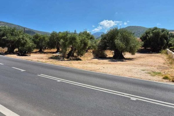 3314-plot-on a main road