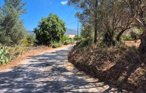 Οικόπεδο στη Λακήθρα - Κωδ. Ακινήτου 3315