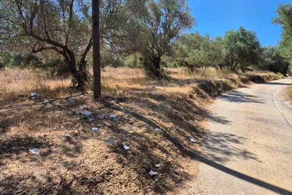 3317-plot-with trees