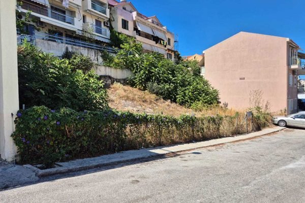 plot-3333-view of the plot