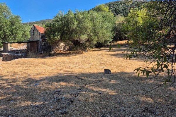 oikopedo-3334-apopsi oikopedou