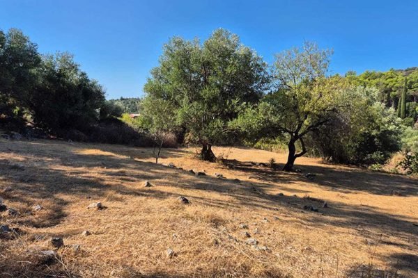 oikopedo-3334-me dromo