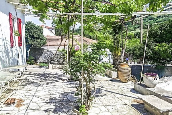 The garden of the house in Makriotika - property id 1993