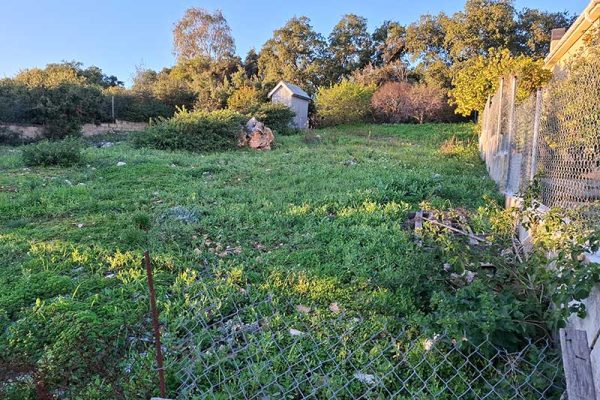 Dorizata-3214-fenced plot