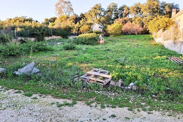 Dorizata-3214-view of the plot