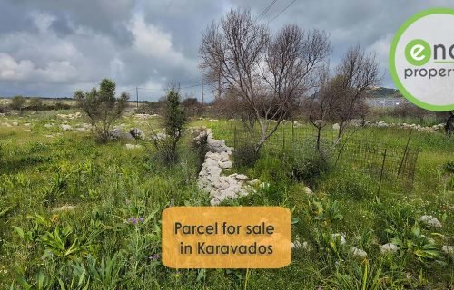 Buildable parcel in Karavados - property id 3392