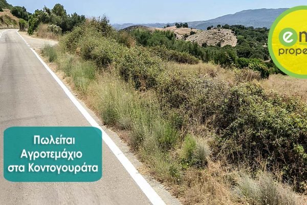 μη οικοδομήσιμο αγροτεμάχιο στα Κοντογουράτα - Κωδ. Ακινήτου 3366