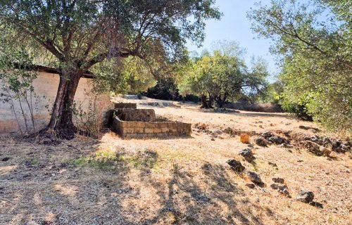 plot-3336-view of the plot