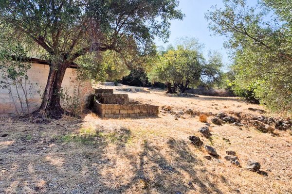 plot-3336-view of the plot