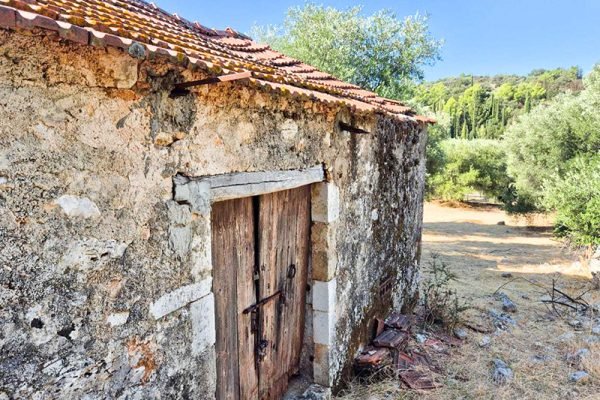 plot-3336-view of the property