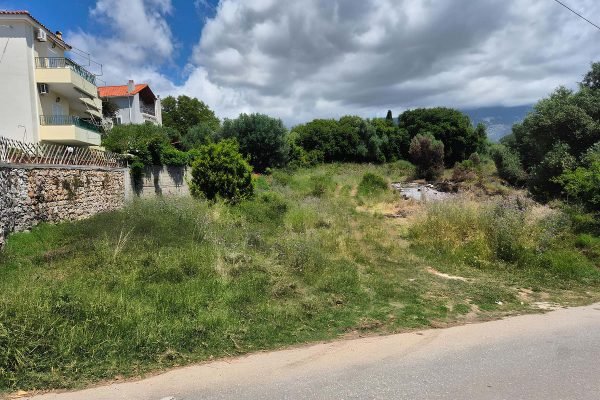 Οικοδομήσιμο αγροτεμάχιο - Κωδ. Ακινήτου 3422