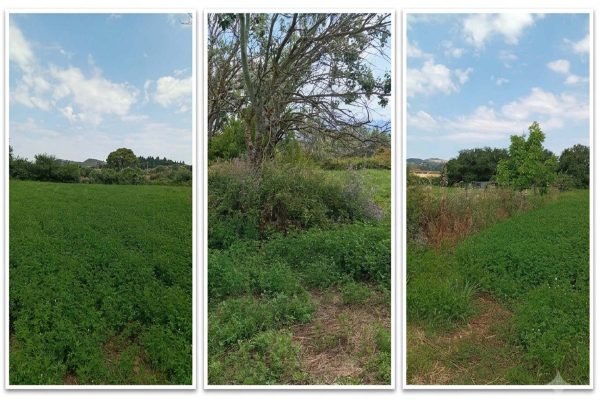 Αγροτεμάχιο προς πώληση στο Ληξούρι- Κωδ. Ακινήτου 3482