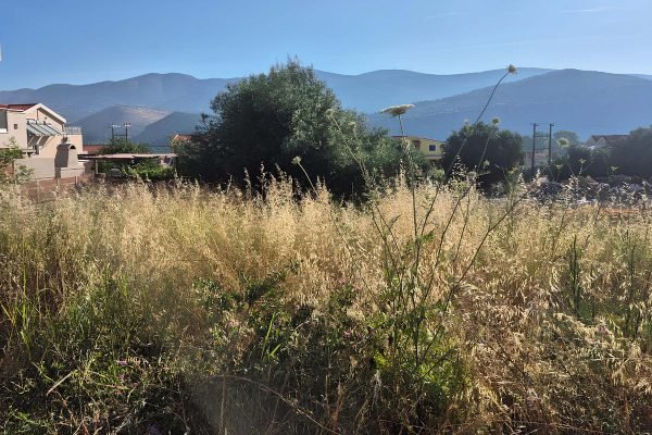 Οικόπεδο προς πώληση - Κωδ. Ακινήτου 3450