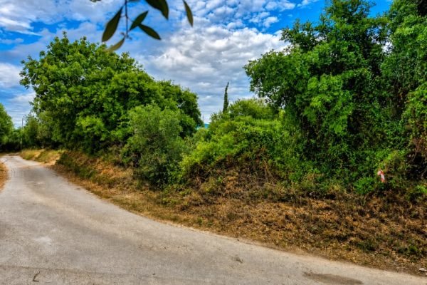 Land for sale- property id 3462
